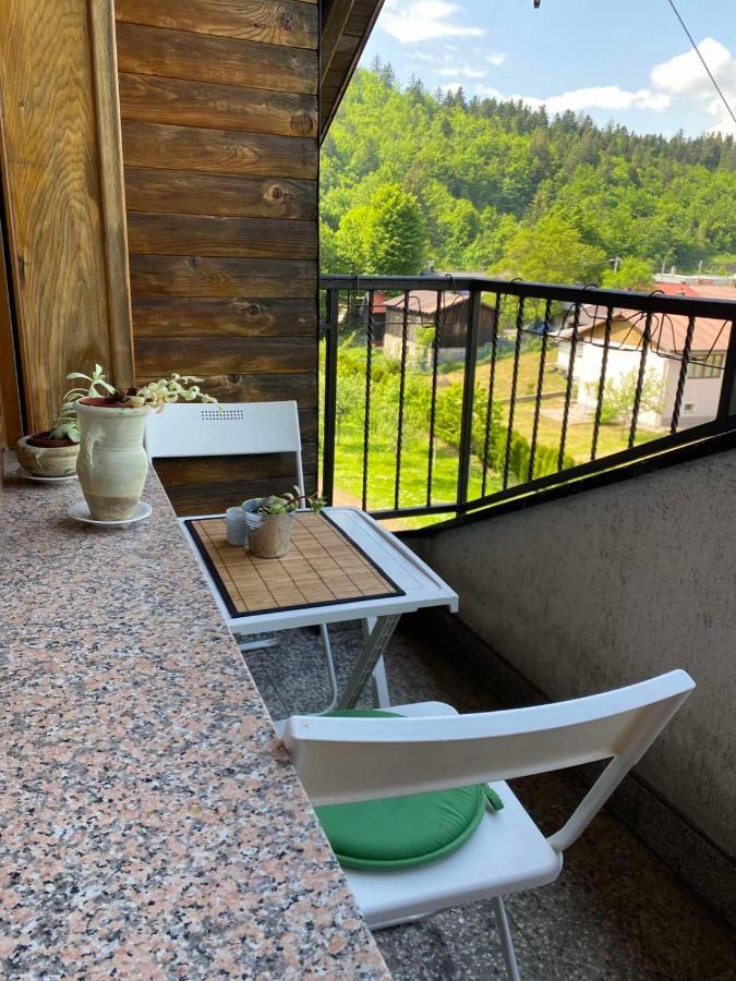 דלניצה Apartmani Gruzdovo מראה חיצוני תמונה