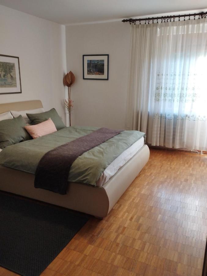 דלניצה Apartmani Gruzdovo מראה חיצוני תמונה