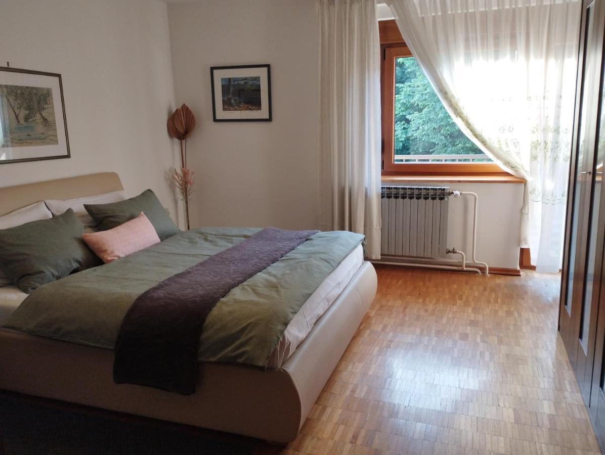 דלניצה Apartmani Gruzdovo מראה חיצוני תמונה